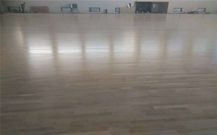籃球場木地板生蟲了怎么辦？