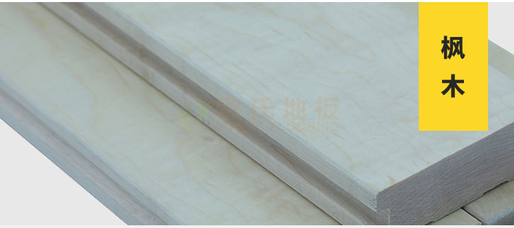 羽毛球場體育運(yùn)動木地板