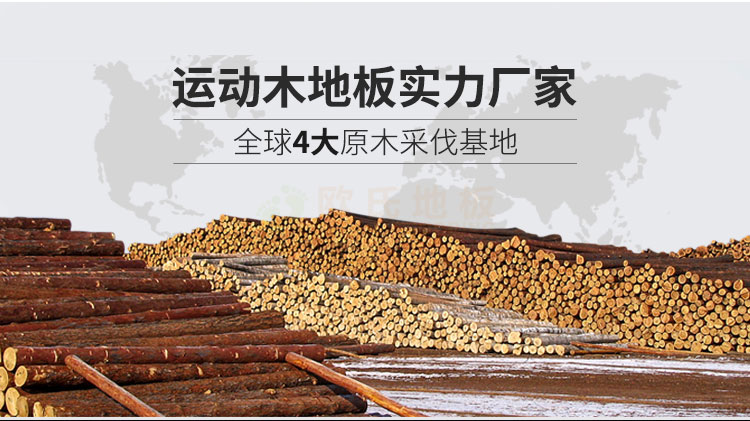 羽毛球場體育運(yùn)動木地板